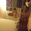 domikik Couple les 2 bi 47 et 47 ans Thann
