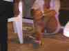 ma13006 Couple Femme bi 46 et 49 ans Saint-Maximin-la-Sainte-Baume