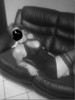 acantus59 Couple 35 et 37 ans Estaires