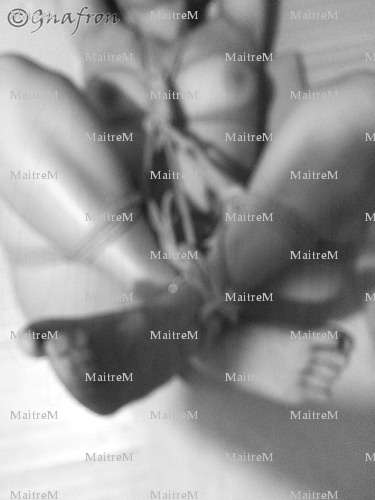 MaitreM - Homme BDSM - Valence