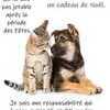 marin28210 Homme 61 ans Dreux