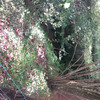 mickyphil Couple Femme bi 51 et 52 ans Aubigny-en-Artois