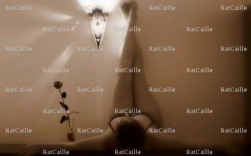 RatCaille - Femme mélangiste - Toulon