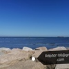 rdp50100 Homme 32 ans Cherbourg-Octeville