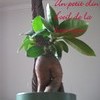 Strixmann Homme 53 ans Enghien-les-Bains